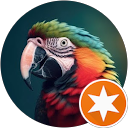 Dariusz P. profile picture